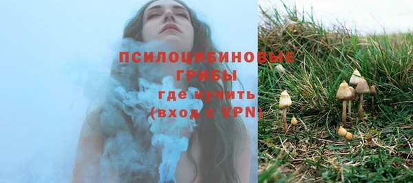 герыч Алексин