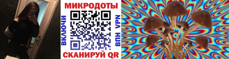 Галлюциногенные грибы мухоморы  что такое   Змеиногорск 